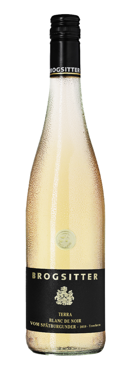 Brogsitter Weingüter, Rheinhessen Terra Blanc, Spätburgunder Blanc de Noir 2022