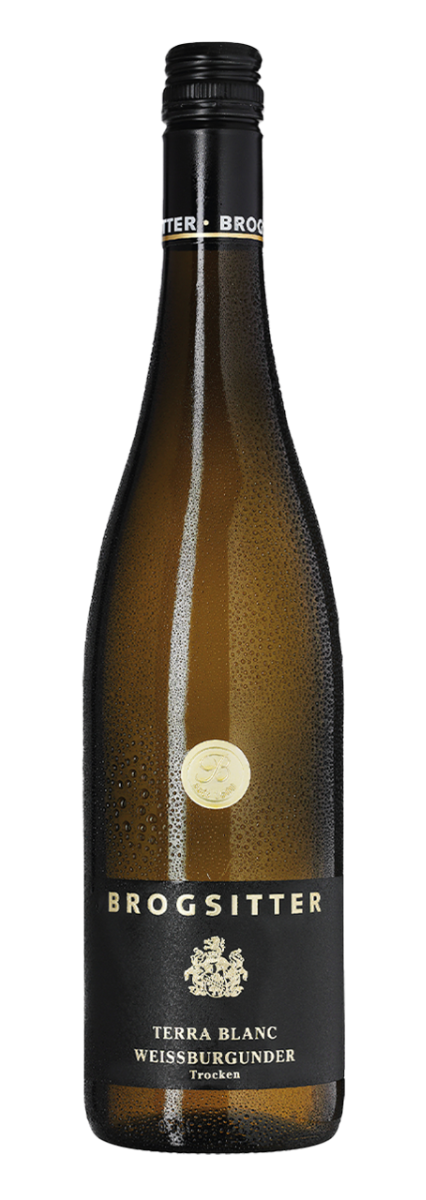 Brogsitter Weingüter, Rheinhessen Terra Blanc Weissburgunder 2022