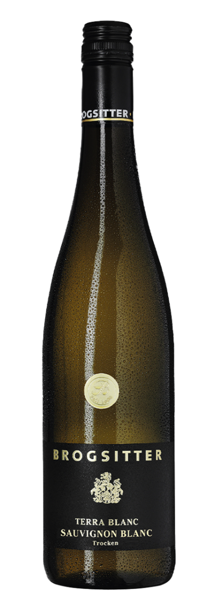Brogsitter Weingüter, Rheinhessen Terra Blanc Sauvignon Blanc 2022