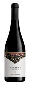 Il Conte Villa Prandone, Rosso Piceno Superiore DOP Marinus 2021
