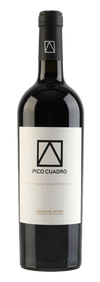 Pico Cuadro, Ribera del Duero DO Vendimia Seleccionada 2020